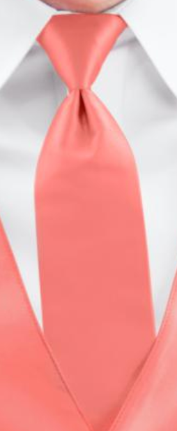 Coral Wedding Tie - Carmel Tailoring & Fine Clothier