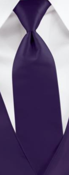 Purple Wedding Tie - Carmel Tailoring & Fine Clothier