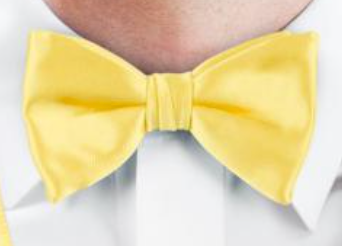 Yellow Wedding Bowtie - Carmel Tailoring & Fine Clothier