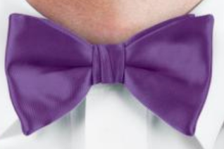 Purple Wedding Bowtie - Carmel Tailoring & Fine Clothier